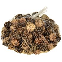 Artikel Kogler, naturlige små kogler, dekoration i net 2,5-3,5 cm 300 g