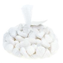 Artikel Småsten i nettet Hvid 2,5cm - 4cm 1kg