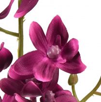 Artikel Lille orkidé Phalaenopsis kunstig blomst Fuchisa 30cm
