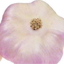 Artikel Kunstige grøntsager dekoration hvidløg pink, hvid Ø6,5cm 2 stk