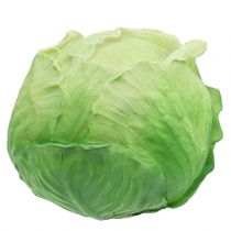 Hvidkål Ø16cm