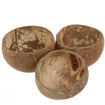 Artikel Kokosskål naturlig dekorativ kokosskål halveret 10cm 6 stk