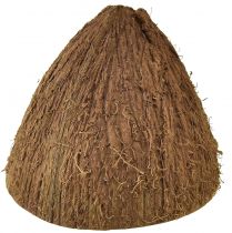 Artikel Kokosskål dekoration naturlige halve kokosnødder Ø7-9cm 5 stk