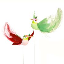 Artikel Hummingbird dekoration på pind turkis bordeaux 13-15cmx9-10cm 6 stk.