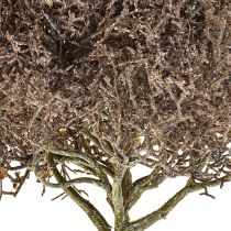 Artikel Koralgren Frostede kunstige planter Vinterdekoration Ø23cm