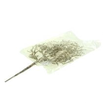 Artikel Koralgren med glimmer lys guld 3 stk