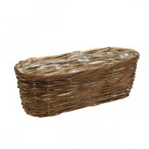 Kurvskål, planter, trækurv til plantning af natur L41cm H13.5