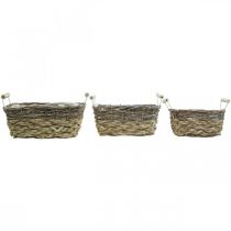 Artikel Plantekurv med hanke, firkantet kurveskål, naturlig plantekasse til plantning shabby chic vasket hvid L30/25,5/21 cm H12/11/10 cm sæt med 3