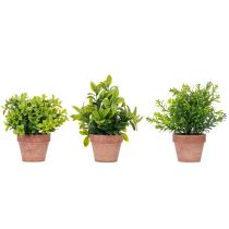 Artikel Kunstig plante i en urtepotte med realistisk tekstur til indendørs brug og dekoration, 18 cm, 3 stk.