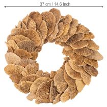 Artikel Træsvampekrans, naturlig farve, til dør- eller vægdekoration, 37 cm
