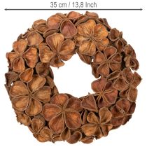 Artikel Tørret lotuskrans, dekorativ dørkrans, 35 cm