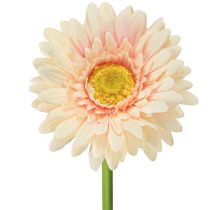 Artikel Kunstige blomster Gerbera Abrikos 47cm
