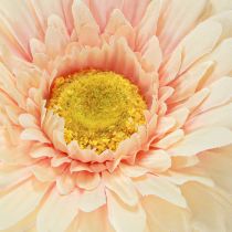 Artikel Kunstige blomster Gerbera Abrikos 47cm