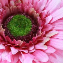 Artikel Kunstige Blomster Gerbera Have Kunstige Blomster Pink 47cm