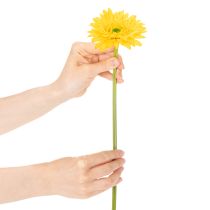 Artikel Kunstige Gerberablomster, Solgul, Haveblomst, 47 cm, 6 stk.
