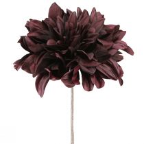 Artikel Kunstig dahlia med store blomster i bordeaux L58cm