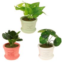 Artikel Kunstige grønne planter miniplanter i potte 15cm 3stk