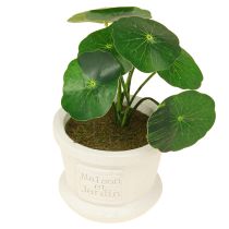 Artikel Kunstige grønne planter miniplanter i potte 15cm 3stk