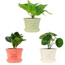 Artikel Kunstige grønne planter miniplanter i potte 15cm 3stk