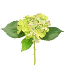 Artikel Kunstige Hortensia Grønne Blomster Blade L43cm 2stk