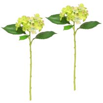 Artikel Kunstige Hortensia Grønne Blomster Blade L43cm 2stk