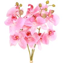 Artikel Kunstige Orkideer Lyserøde Kunstige Blomster Ligesom Ægte 56cm 3 Stk