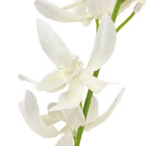 Artikel Kunstig orkidégren Cremehvide blomster L90cm 2stk