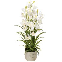 Artikel Kunstige orkideer i potte med hvide blomster H80cm