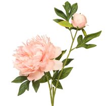 Artikel Kunstige Pæoner Pink Paeonia Laks L60cm 2stk
