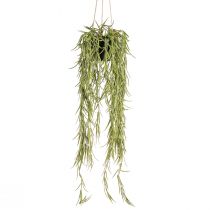 Artikel Kunstig sukkulent hængende plante i sort potte 60 cm - Langtidsholdbar indretning
