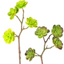 Artikel Kunstige sukkulenter med stilk grøn lilla assorteret 32cm 2stk