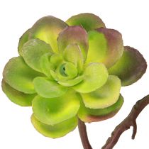 Artikel Kunstige sukkulenter med stilk grøn lilla assorteret 32cm 2stk