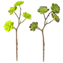 Artikel Kunstige sukkulenter med stilk grøn lilla assorteret 32cm 2stk
