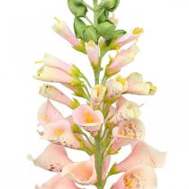 Kunstig blomsterhave flerårig laks kunstig blomsterstængelblomst H90cm