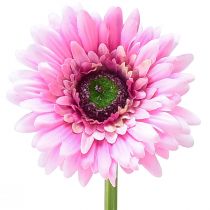 Artikel Kunstige blomster Gerbera pink 47cm
