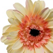 Artikel Kunstig gerbera blomst kunstig blomst abrikos Ø11cm L50cm