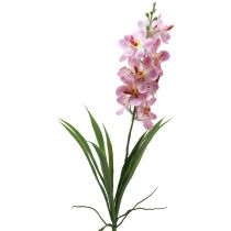 Artikel Kunstig Orkidé Pink Hvid Kunstig Blomsterorkidé 73cm