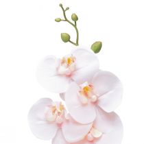 Artikel Kunstig orkidé Pink Phalaenopsis Real Touch 83cm