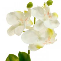 Kunstige orkideer Kunstig blomsterorkidé hvid 20cm