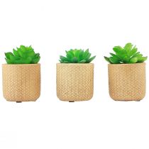 Kunstige sukkulenter i potte Kunstige planter Assorteret 10cm 3stk