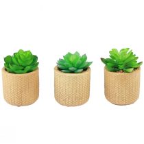 Artikel Kunstige sukkulenter i potte Kunstige planter Assorteret 10cm 3stk