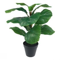 Artikel Kunstig potteplante Ficus kunstig plante i potte 42cm