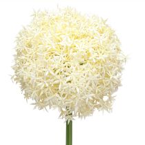 Artikel Kunstig Allium Cremehvid Prydløg Ø18cm L90cm