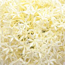 Artikel Kunstig Allium Cremehvid Prydløg Ø18cm L90cm