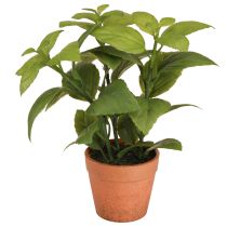 Artikel Kunstig Basilikum i Potte Urtepotte Kunstig Plante 22cm 2stk