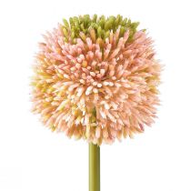 Artikel Kunstig allium prydløg pink grøn Ø10cm L65cm