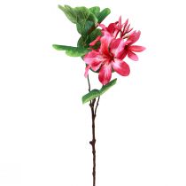 Artikel Kunstig orkidégren Bauhinia Lyserød kunstig plante 62cm