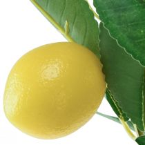 Artikel Kunstigt citrontræ i potte Middelhavet H58cm