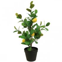Artikel Kunstigt citrontræ i potte, 65 cm, dekorativ plante, kunstig plante
