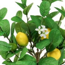 Artikel Kunstigt citrontræ i potte Citrontræ 58cm